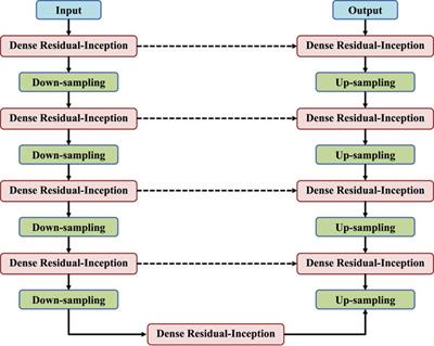 DRI-Net: segmentation of polyp in colonoscopy images using dense residual-inception network